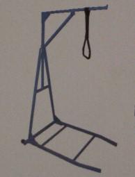 TRAPEZE BAR BARIATRIC