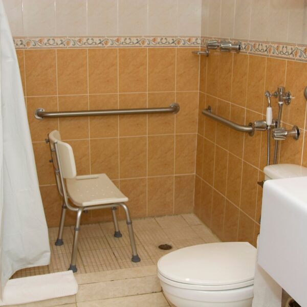 shower bars and chair in the shower